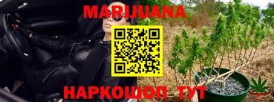 apvp Моздок