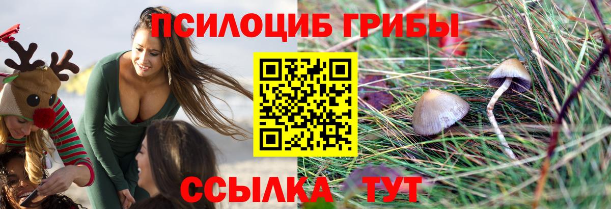 Галлюциногенные грибы Cubensis  Псилоцибиновые грибы Psilocybe  Вход с VPN  где можно купить   Тольятти 